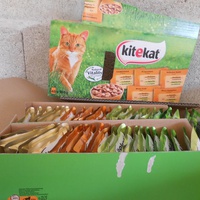 photo de livraison pour Ecole du Chat de Lanvaux