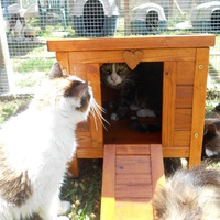 photo de livraison pour Ecole du Chat de Lanvaux