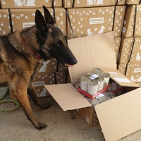 photo de livraison pour AVRAH