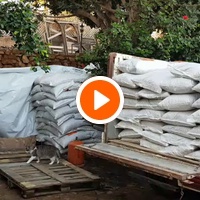 photo de livraison pour Le Coeur sur la Patte