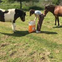 photo de livraison pour Espoir au Galop