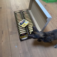 photo de livraison pour Les Chats de Condom 32