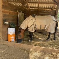 photo de livraison pour Equi-Vivre