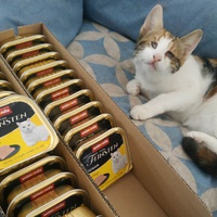 photo de livraison pour Les Pattounes de l'Espoir