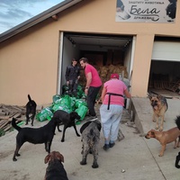 photo de livraison pour Društvo za zaštitu životinja "Bela"