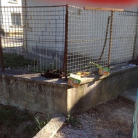 photo de livraison pour L'Assist'Aux Chats