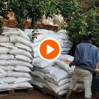 photo de livraison pour Le Coeur sur la Patte