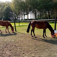 photo de livraison pour Arche et Relais