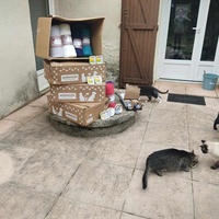 photo de livraison pour Les Petites Bouches