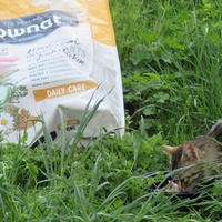 photo de livraison pour Jardin des Chats