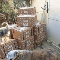 photo de livraison pour AVRAH