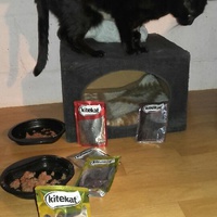photo de livraison pour Ecole du Chat de Poitiers
