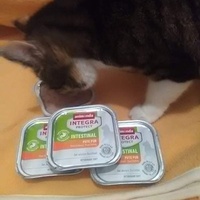 photo de livraison pour Stérilcat 80