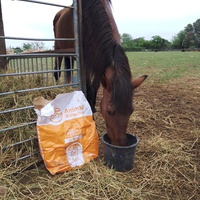 photo de livraison pour Equi-Libre : Droit à la Retraite Equine
