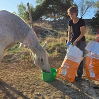 photo de livraison pour La Retraite des Chevaux des Causses