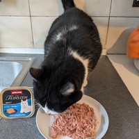 photo de livraison pour CAPPA