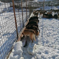 photo de livraison pour Humans foR thEM