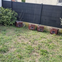 photo de livraison pour L'Arche de la Gazelle