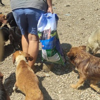 photo de livraison pour SPAS