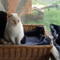 photo de livraison pour EVA Espoir de Vivre Animaux