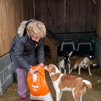 photo de livraison pour Association Lupy Orastie