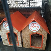 photo de livraison pour Refuge pour chiens de Baia Mare