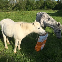photo de livraison pour Espoir au Galop