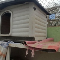 photo de livraison pour Chats Libres de Béziers