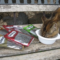 photo de livraison pour Jardin des Chats