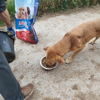 photo de livraison pour Sapa u srcu