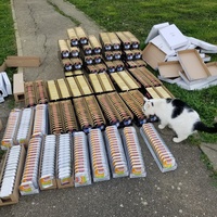 photo de livraison pour Chats Maux