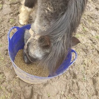 photo de livraison pour Un Elan de Tendresse