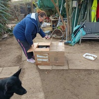 photo de livraison pour Chats Libres de Béziers