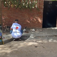 photo de livraison pour L'Arche de Noé