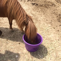 photo de livraison pour La Ferme des Zanimobiles
