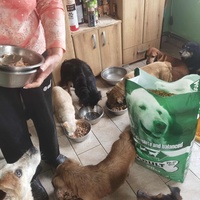 photo de livraison pour ПРИХВАТИЛИШТЕ ДРАЖЕВАЦ