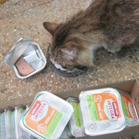 photo de livraison pour Au Bonheur des Chats Libres