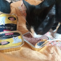photo de livraison pour Stérilcat 80