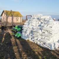 photo de livraison pour Azil Bella