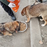 photo de livraison pour Asociația Hăpluț și prietenii