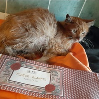 photo de livraison pour Association Misty Pépère