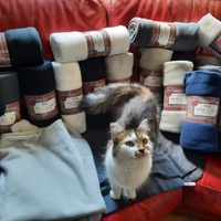 photo de livraison pour Cœur Animal