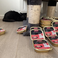 photo de livraison pour Les P’tits Bâtards