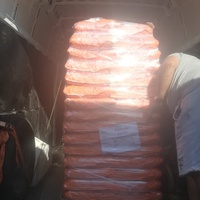 photo de livraison pour Europe4strays