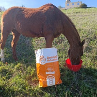 photo de livraison pour Les Crinières de Salherm
