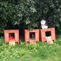 photo de livraison pour Chaperlipopette 77