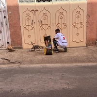 photo de livraison pour L'Arche de Noé