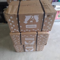 photo de livraison pour Chat Ami pour la Vie