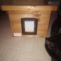 photo de livraison pour Les chats Port-Saint-Louisiens