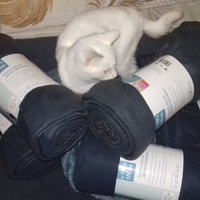 photo de livraison pour Pour l'Amour des Chats
